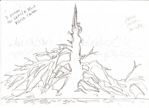 War Wood sketch