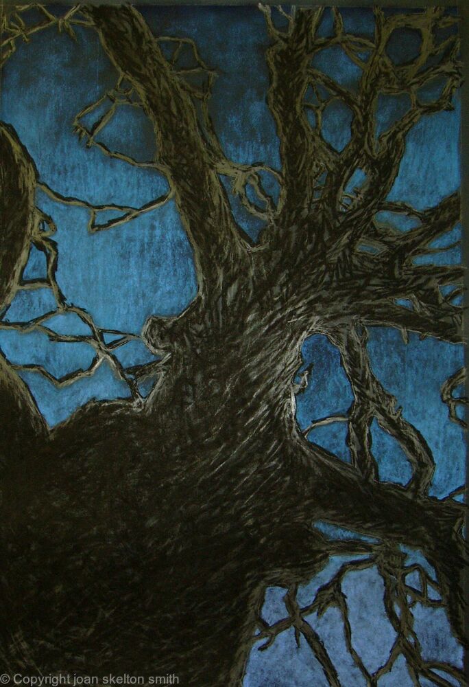 Tree Top
