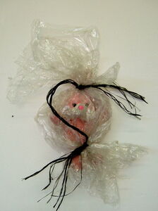 Bagged Bunny