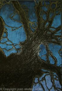 Tree Top