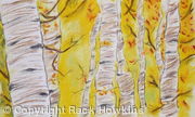 Yellow Birches