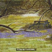 Bluebell wood