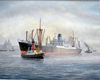 Dardanus in the Mersey