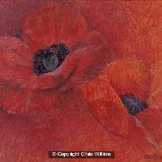 Poppies