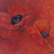 poppies