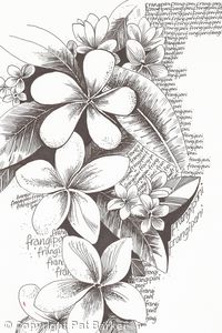 Frangipanis