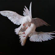 Doves