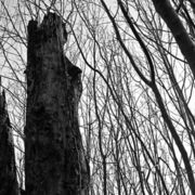 monoliths-1