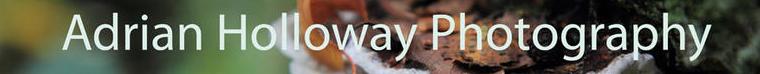 Adrian Holloway