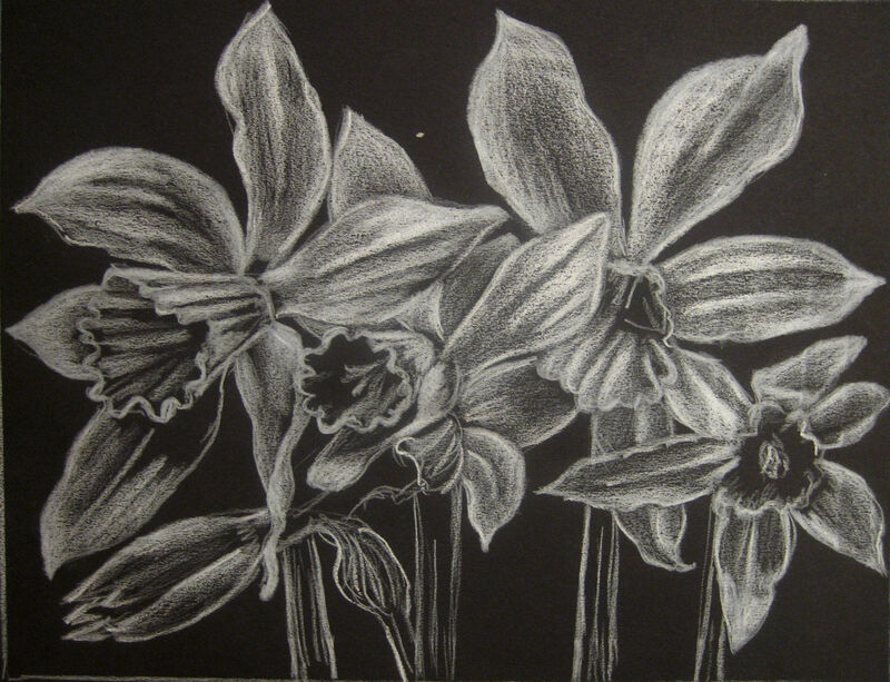 White Narcissi