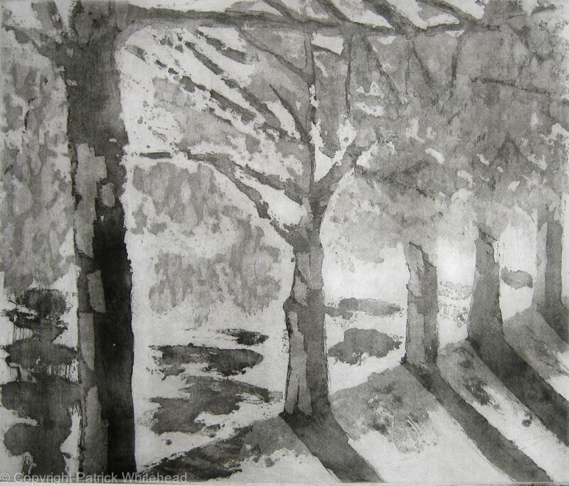 Trees in the Fall