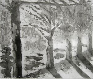 Trees in the Fall