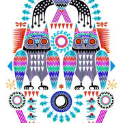rainbow owls