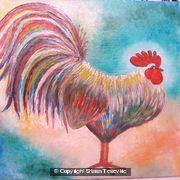 my rooster