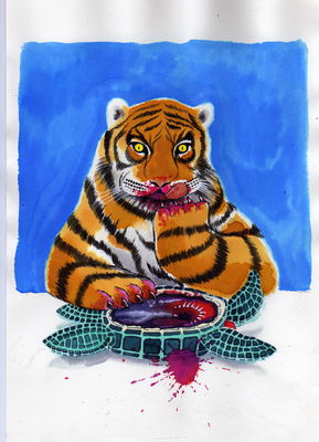 Tiger tasting turtle
