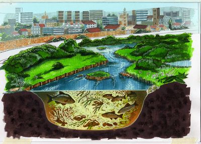 Clear river