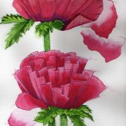 flowers 5