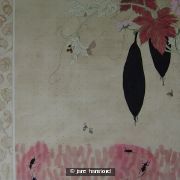 Insects and gourds