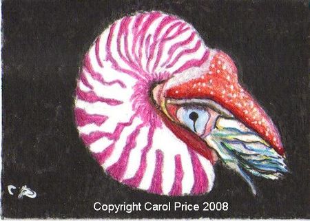 Nautilus