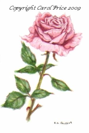 Pink Rose Painting