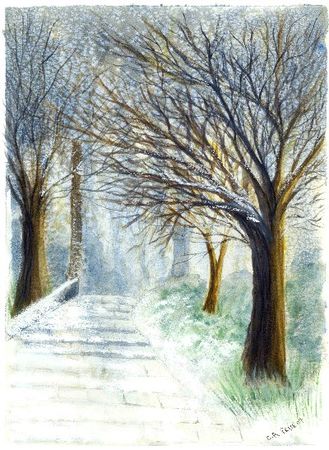 Burton in Winter