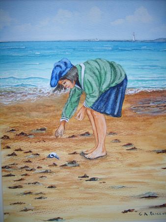 Shell Girl