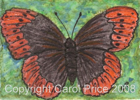 4 Diana Fritillary