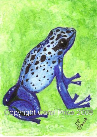 Blue Poison Dart Frog
