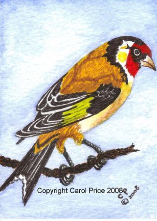 Goldfinch