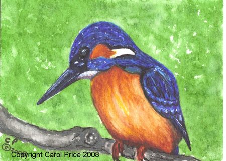 Kingfisher