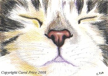 Original OSWOA Cat Nap Painting