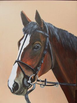Kauto Star