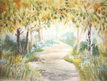 Bluebell Woodland