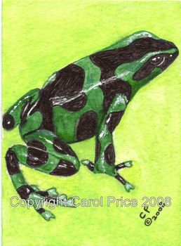 Green and Black Poison Frog