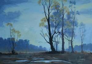 Norfolk fields