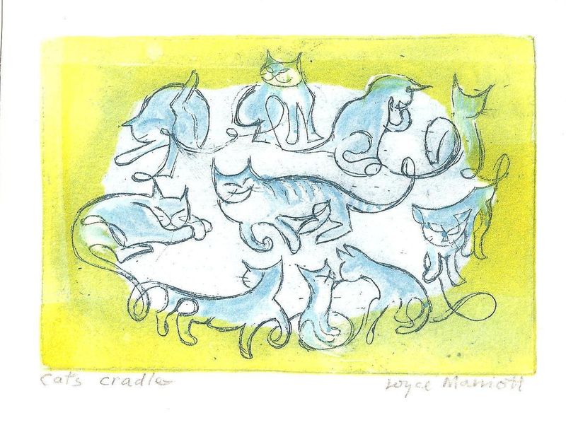Cats Cradle
