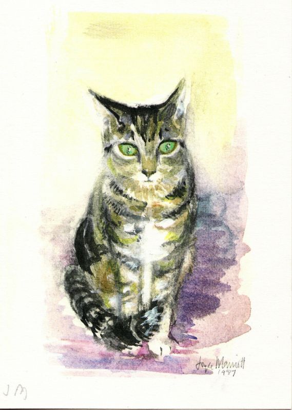 Inconsolable Cat