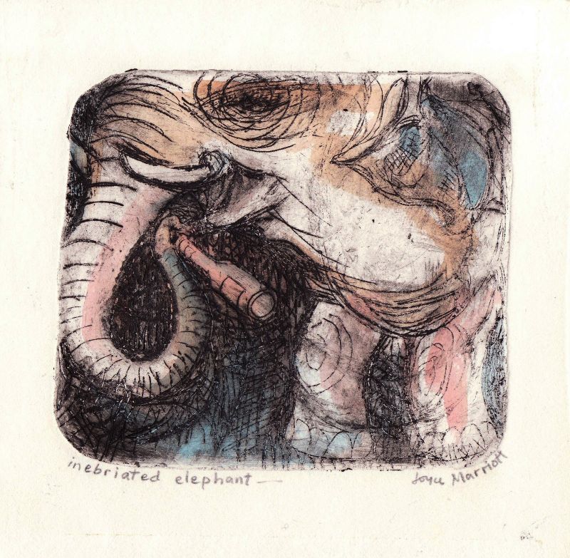 Inebriated Elephant