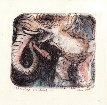 Inebriated Elephant