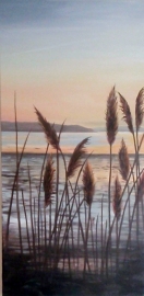 Golden Harbour