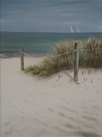 Dwon To Shell Bay