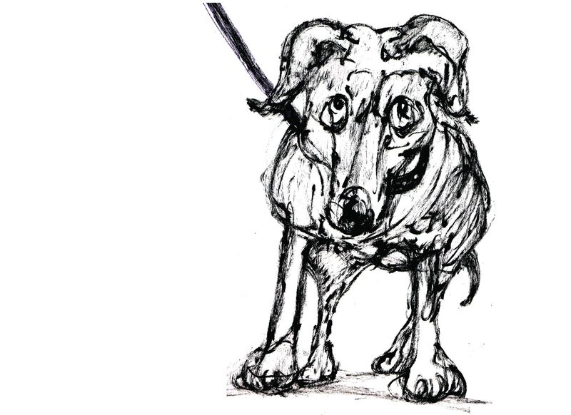 dog