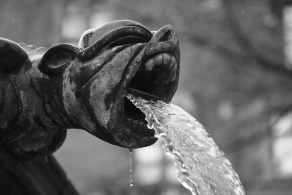 Gargoyles Fountain