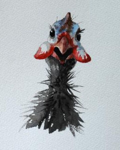 Guineafowl
