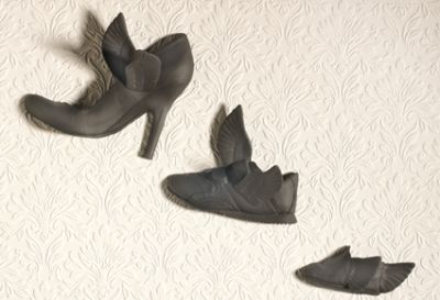 flying shoes