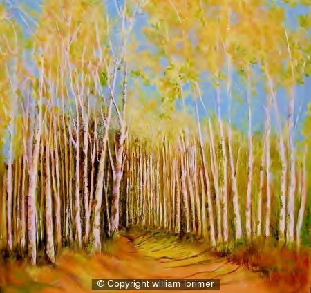 ancient footpath