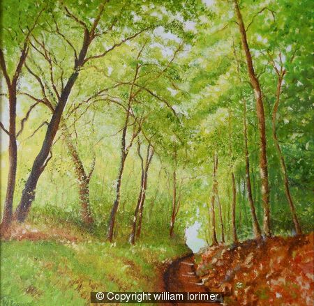 woodland path