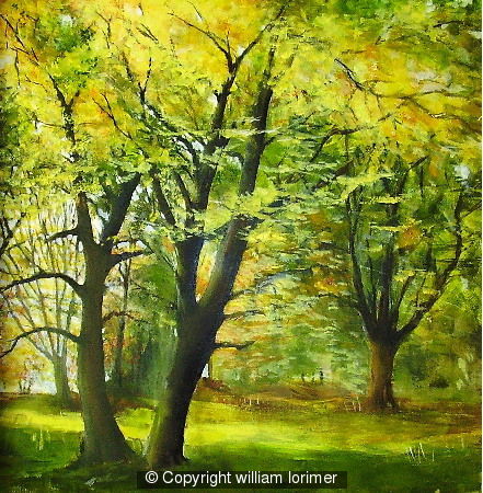 Woodland landscape