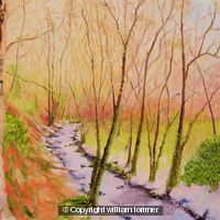 Winter woodland