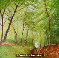 woodland path